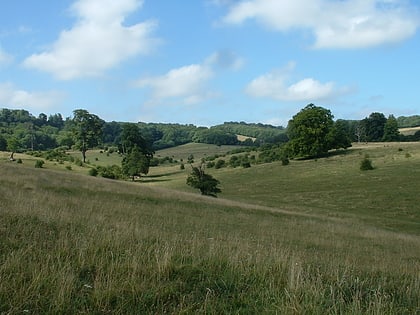 tring park