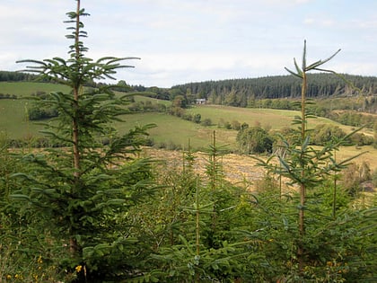 Dyfnant Forest