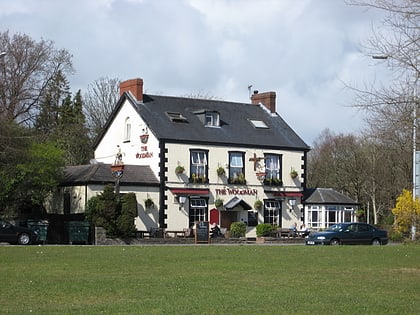 blackpill swansea