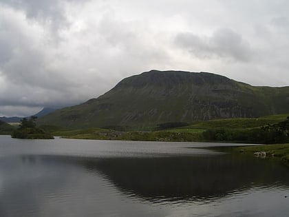 tyrrau mawr snowdonia