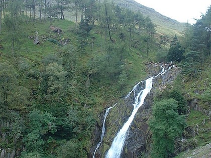 Taylor Gill Force