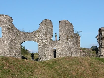 chateau de newcastle emlyn