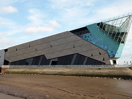 the deep aquarium kingston upon hull