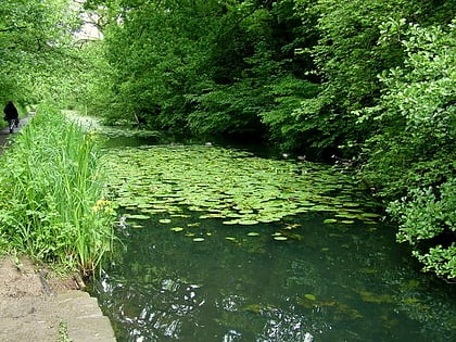 lokalny rezerwat przyrody glamorganshire canal cardiff