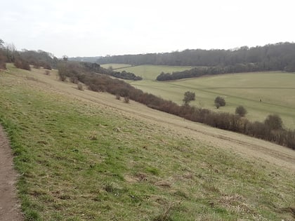 happy valley park londyn