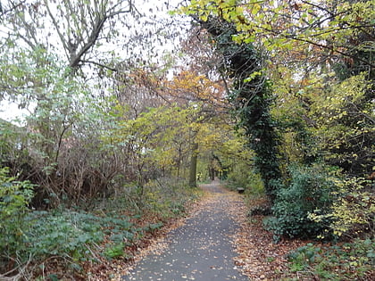 downham woodland walk bromley