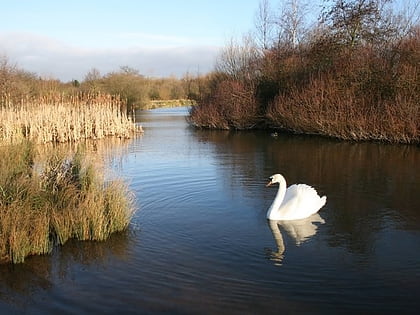Sandwell Valley Country Park