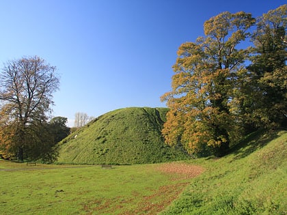 Thetford Castle