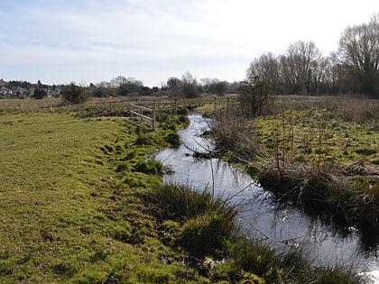 Purwell Meadows