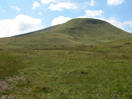 fforest fawr brecon beacons