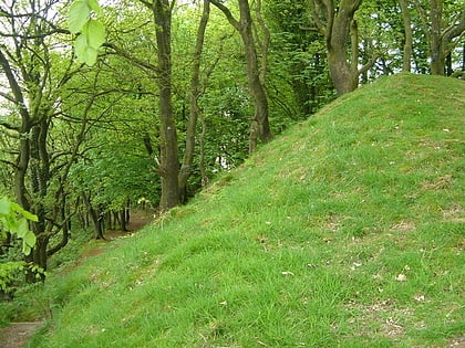 castle neroche ringdown sssi