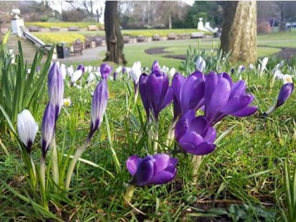 happy mount park morecambe