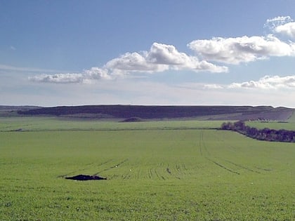 maiden castle