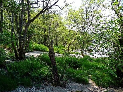 inchfad loch lomond and the trossachs nationalpark