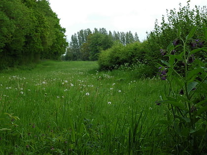 Upper Greensand Hangers: Wyck to Wheatley