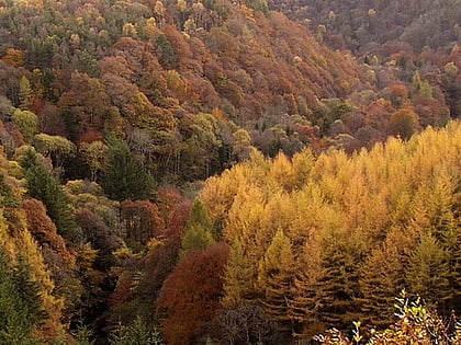 Allen Banks & Staward Gorge