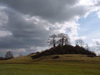 fenny castle