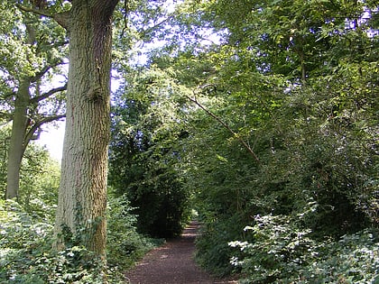 Furzefield Wood and Lower Halfpenny