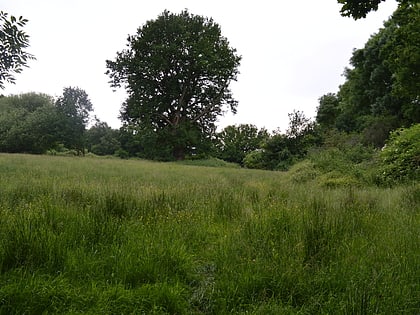 Mill Meadows