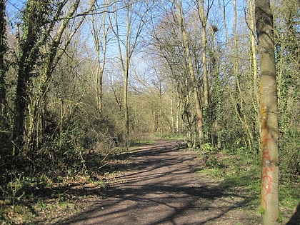 Crofton Wood