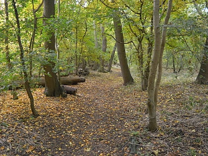 grimeshaw wood peterborough