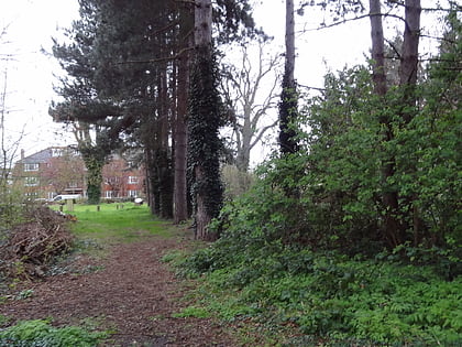 sutton ecology centre grounds banstead