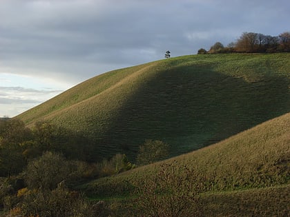 martinsell hill