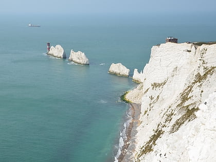 the needles wight