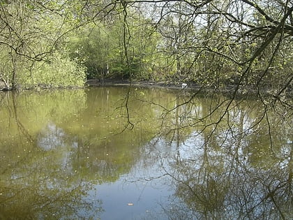 st leonards park ponds horsham