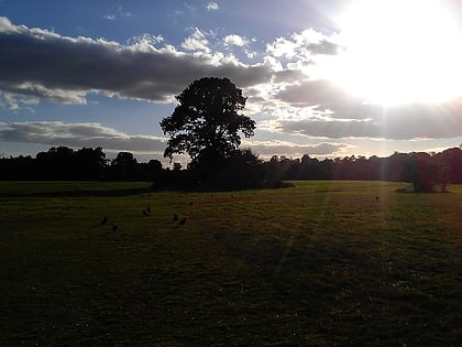 foots cray meadows londyn