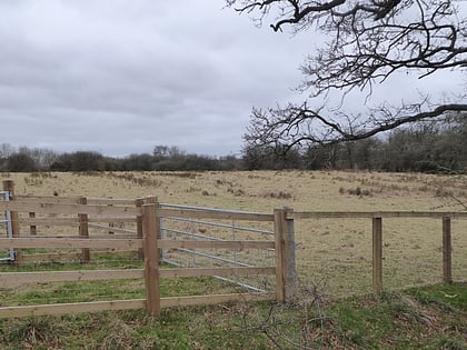 High Wood and Meadow