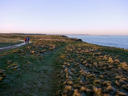 the leas south shields