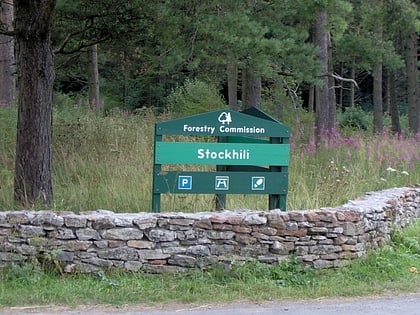 stock hill