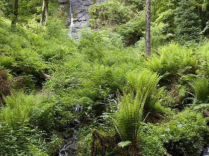 canonteign falls parque nacional de dartmoor