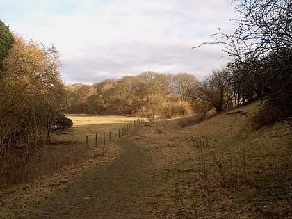 bere mill meadows whitchurch