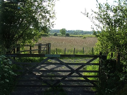 Cors Bodeilio National Nature Reserve