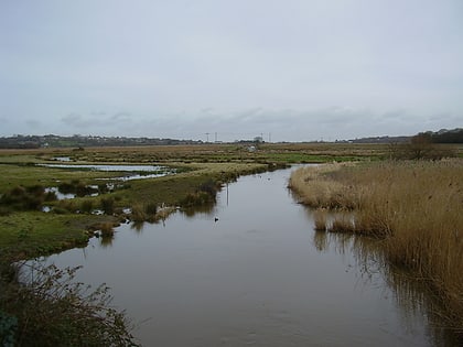 brading marshes rspb reserve wight