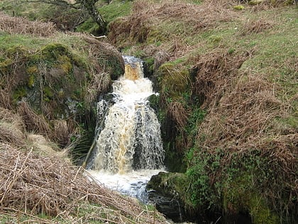 derrygown linn gatehouse of fleet