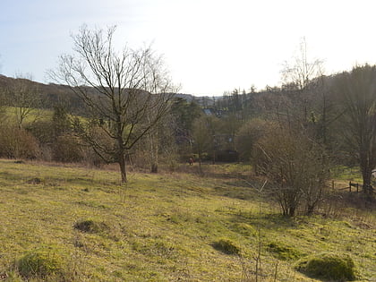 prestwood local nature reserve chiltern hills