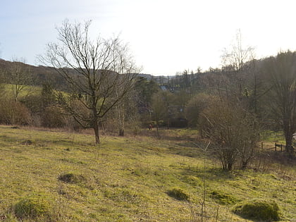 prestwood local nature reserve chilterns