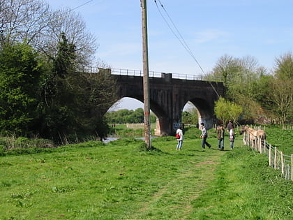 whitehall meadows canterbury