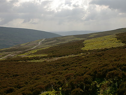 bowland forest high forest of bowland