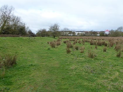 Duston Mill Meadow