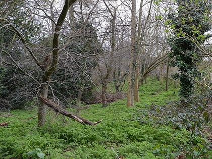 Albans Wood