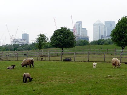 mudchute park and farm londyn