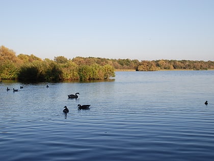 Fleet Pond