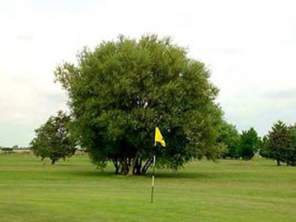 Country Golf