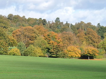 Addington Park