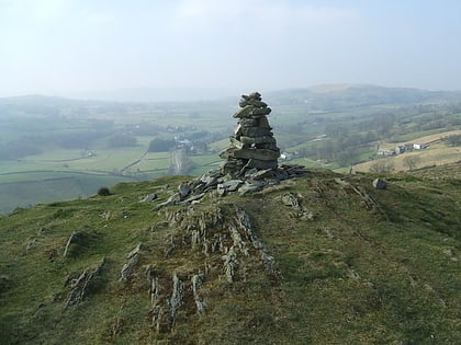 reston scar