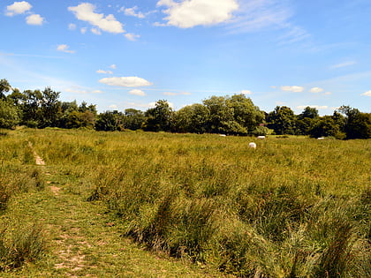 Hockley Meadows